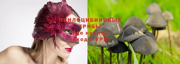 Альфа ПВП Абаза