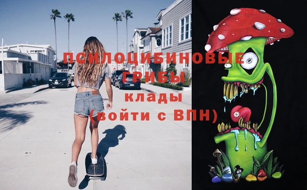 Альфа ПВП Абаза