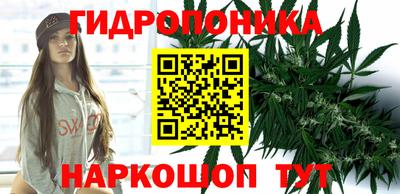 индика Тверь