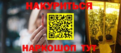 индика Тверь