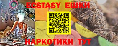 индика Тверь