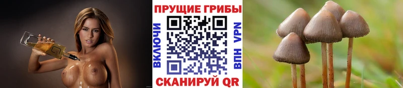 Псилоцибиновые грибы Magic Shrooms Морозовск