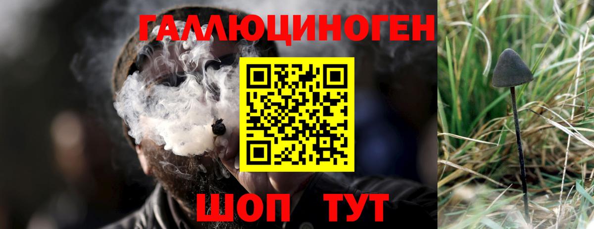 Морозовск  Псилоцибиновые грибы Magic Shrooms  Псилоцибиновые грибы GOLDEN TEACHER  Вход с VPN 